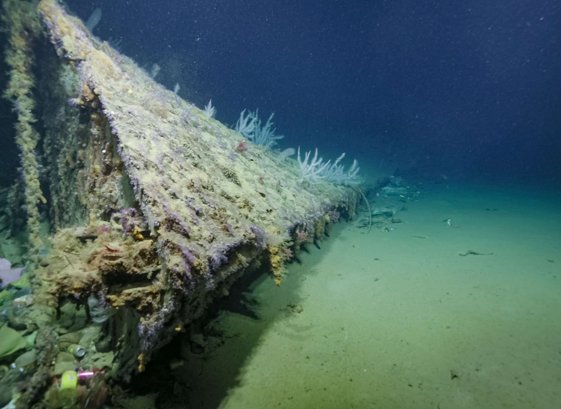 USS New Orleans Bow 1